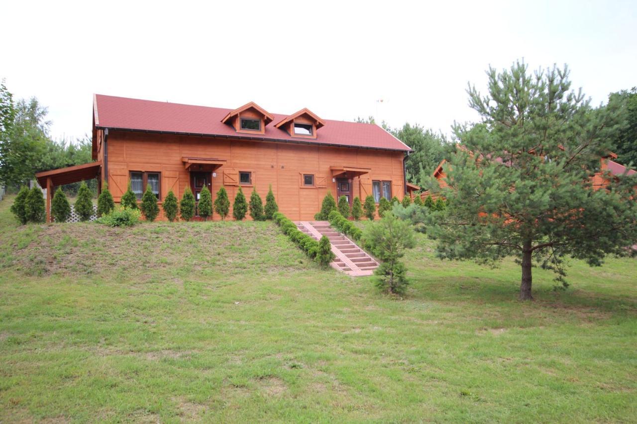 Domki Debina Villa Debina  Екстериор снимка