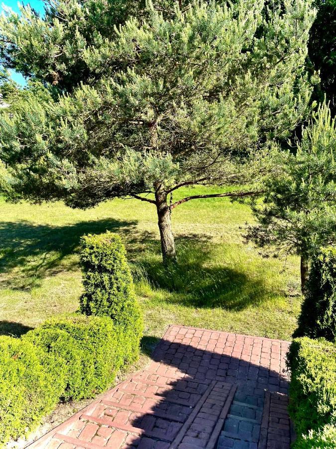Domki Debina Villa Debina  Екстериор снимка